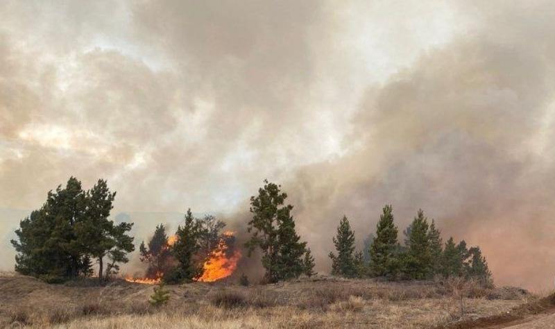 Фото В Бурятии двум районам отрубили свет из-за лесных пожаров