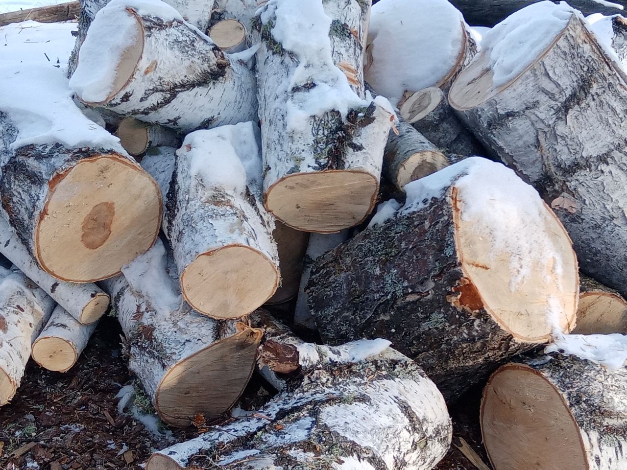 Фото В Бурятии сельчане вступились за купившую гнилые дрова бабушку (ВИДЕО)