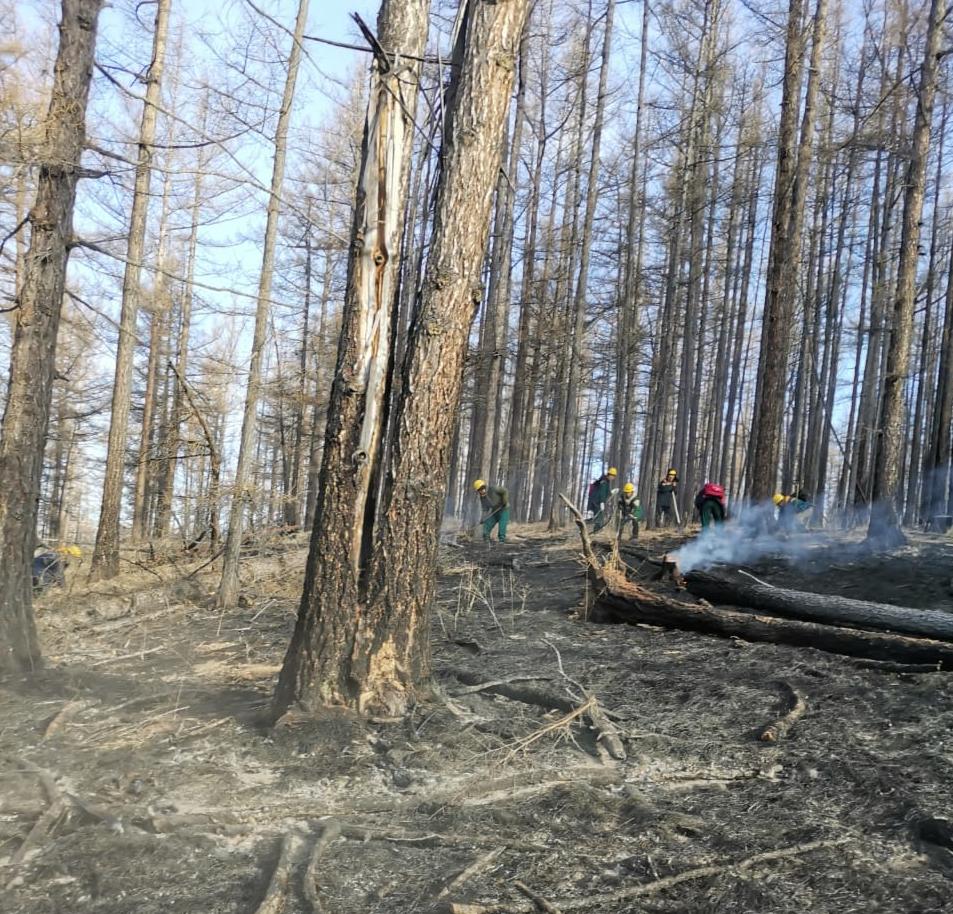 Фото В лесах Бурятии ликвидирован сложный пожар