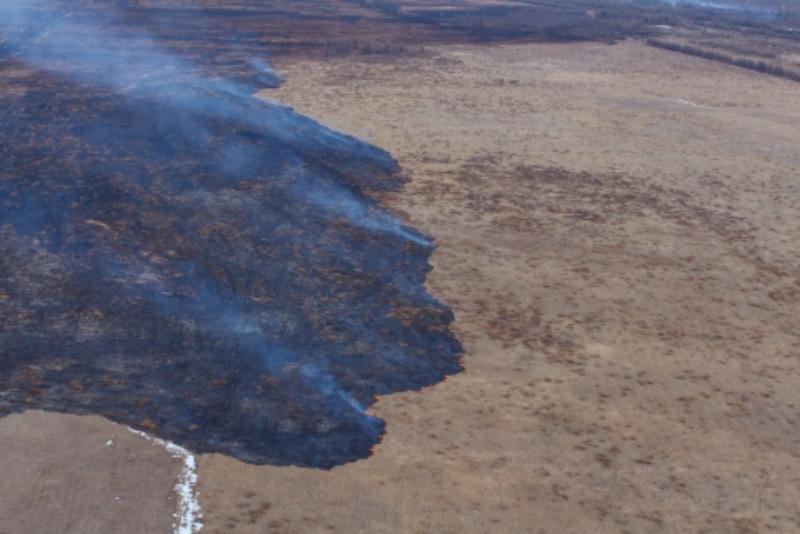 Фото В районах Бурятии начала гореть трава