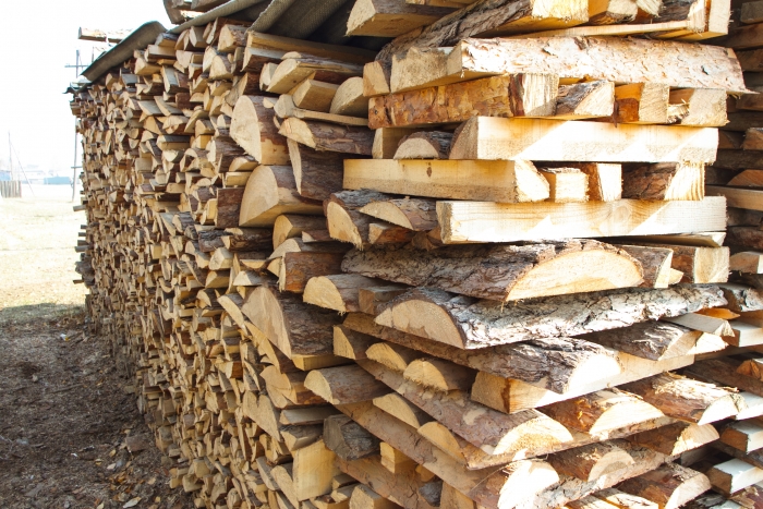 Фото В Бурятии работают комиссии для помощи с дровами семьям мобилизованных