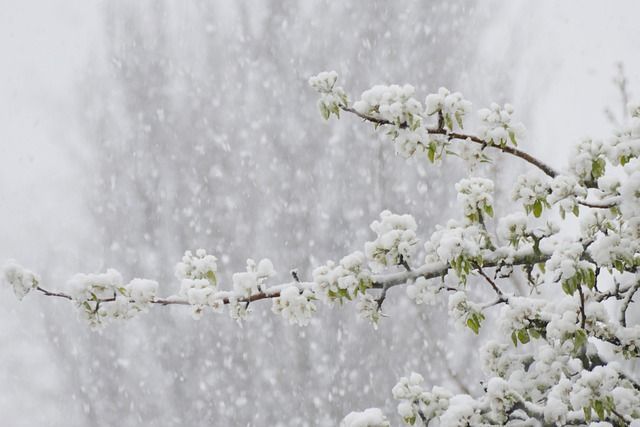 Фото Дождь и снег накроют Бурятию в выходные