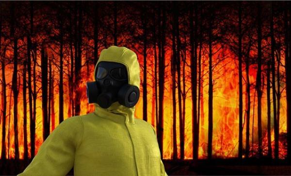 Фото В Бурятии за сутки ликвидировано 3 лесных пожара на 14,5 га