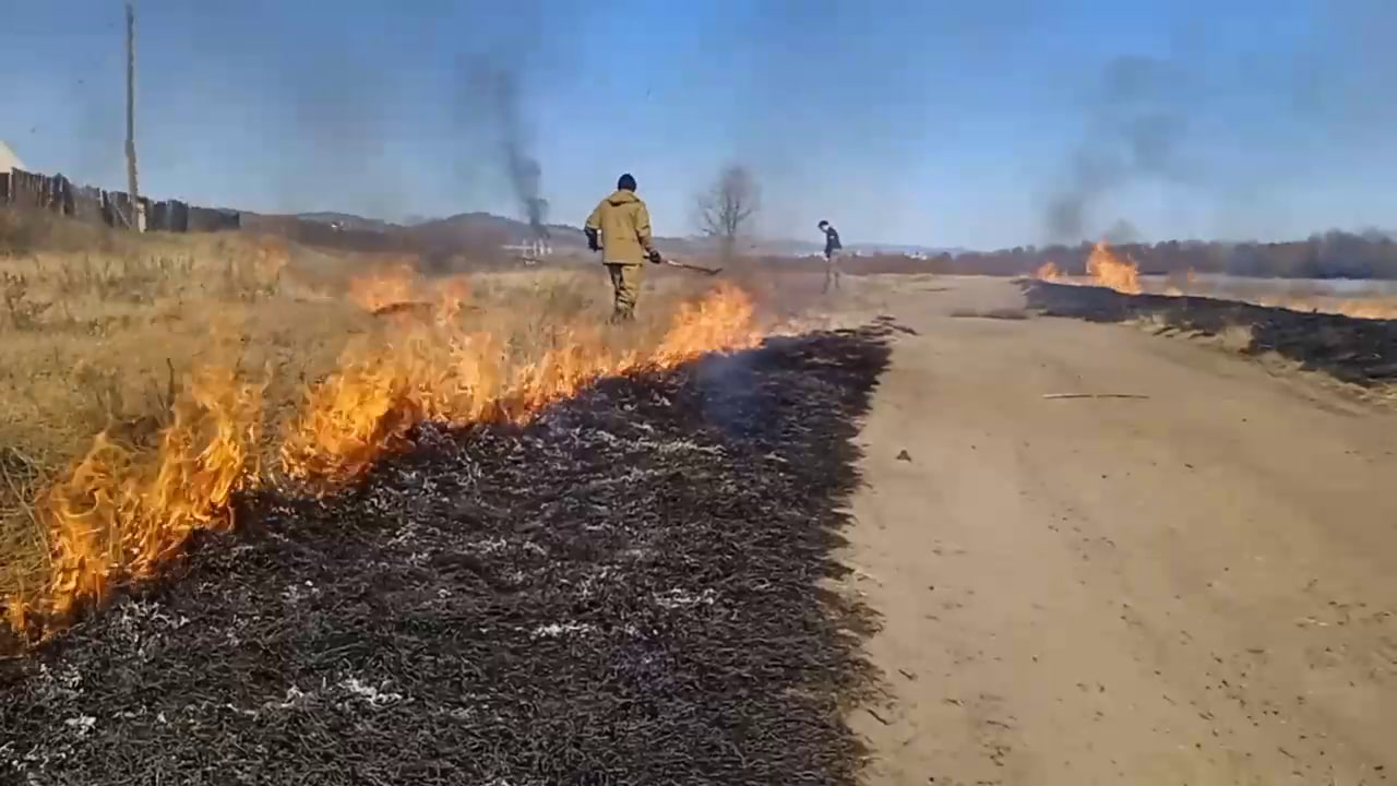 Фото В Бурятии зарегистрировано 11 случаев возгорания травы