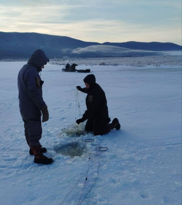 Фото Житель Бурятии наловил рыбы в охраняемой зоне
