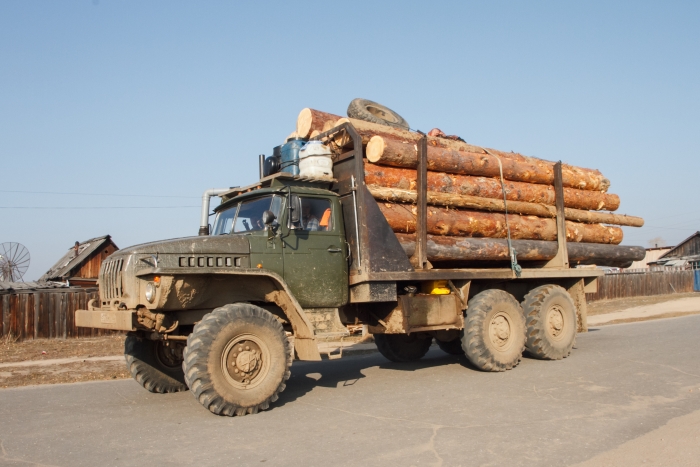 Фото В Бурятии предотвратили контрабанду лесоматериалов 