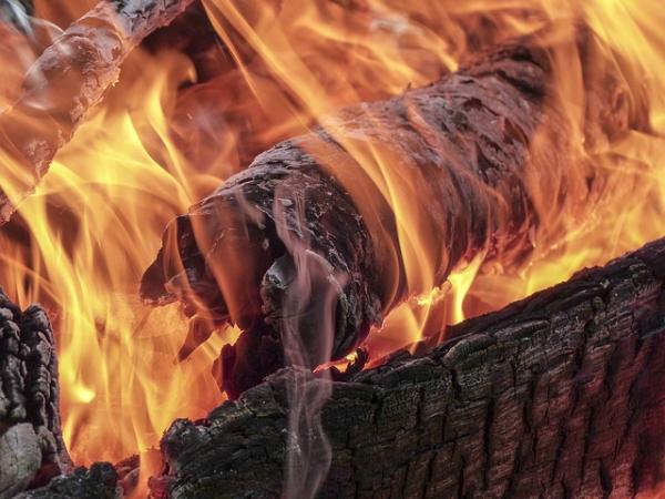 Фото В Кабанском районе Бурятии едва не выгорели 5 га леса