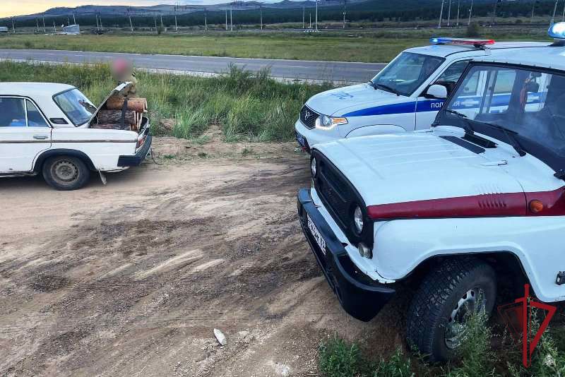 Фото В районе Бурятии росгвардейцы и гаишники поймали пьяного «черного» лесоруба