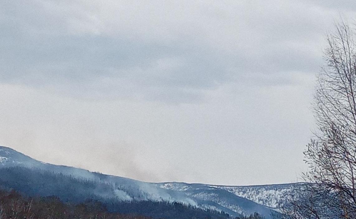 Фото За сутки в Бурятии обнаружено два лесных пожара