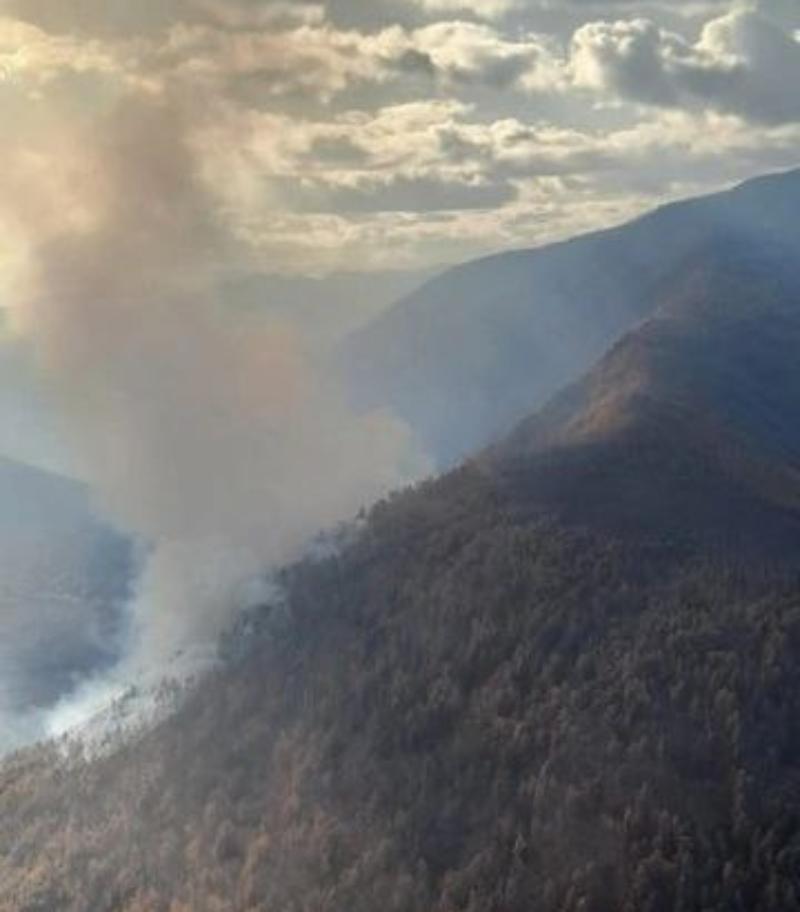 Фото В Муйском районе Бурятии тушат сложный лесной пожар