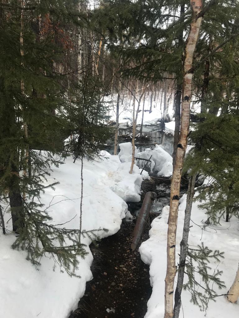 Фото Предприниматель сбрасывал сточные воды турбазы в лес