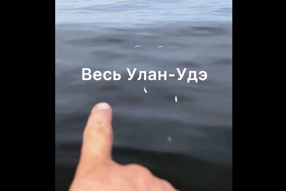 Фото В Байкале жители Бурятии обнаружили мор омулевой молоди (ВИДЕО)