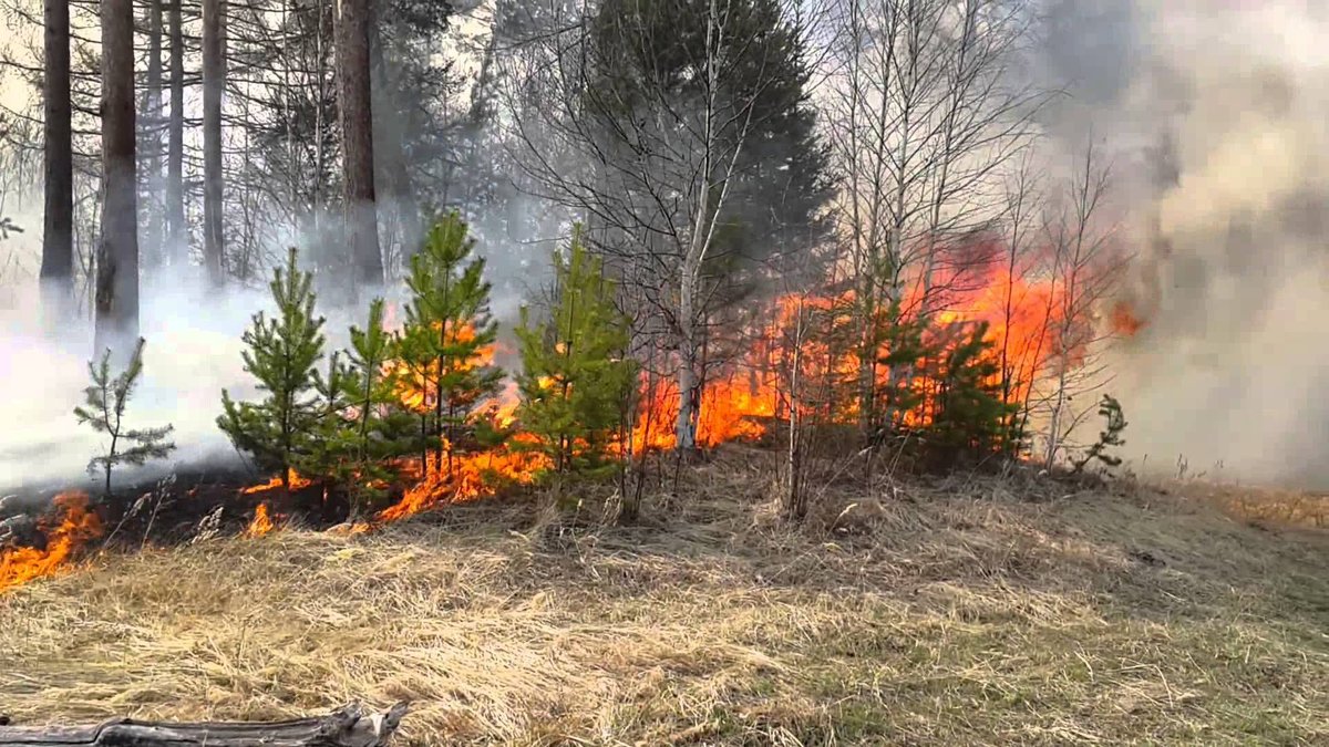 Фото В Закаменском районе лесники продолжают тушить лесной пожар