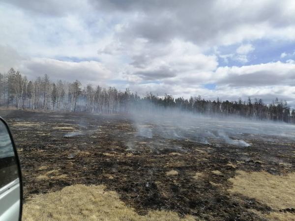 Фото 93 гектара леса в Бурятии повреждено огнем с начала пожароопасного сезона