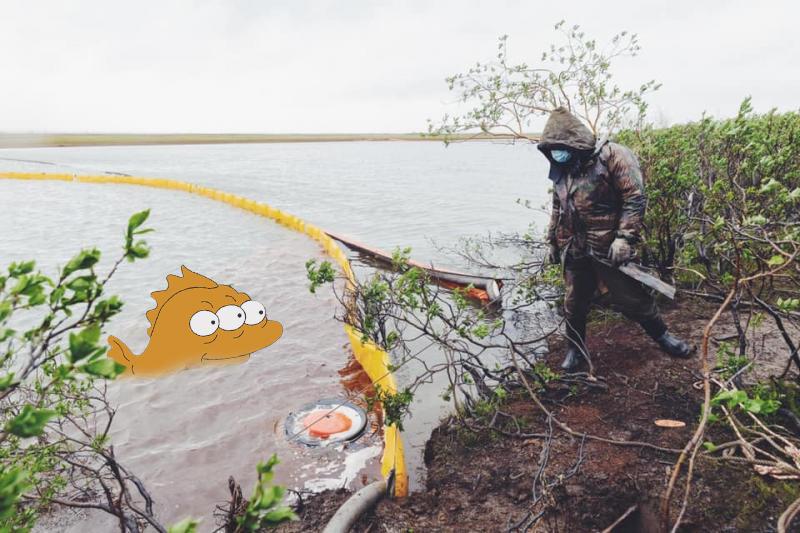 Фото Эксперты допускают появление рыб-мутантов из-за разлива нефтепродуктов в Норильске