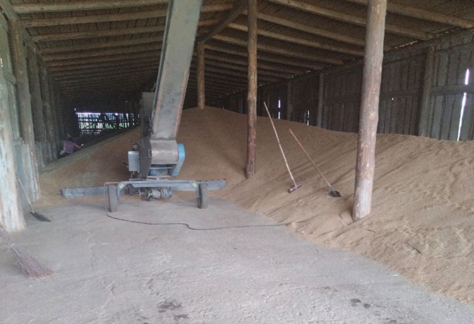 Фото Обеззараживание складов перед закладкой зерна: залог качественного хранения урожая