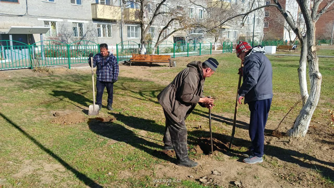 Фото В сквере «Яблоневый» в поселке Аэропорт Улан-Удэ высадили 158 яблонь
