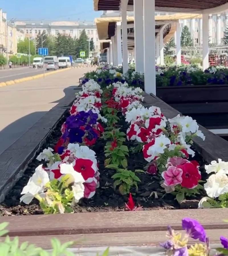 Фото Мэр Улан-Удэ поручил усилить полив деревьев и цветов 