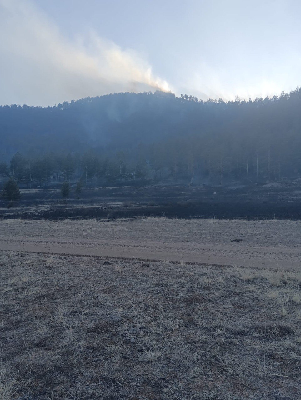Фото В Бурятии продолжается тушение лесного пожара в Курумканском районе