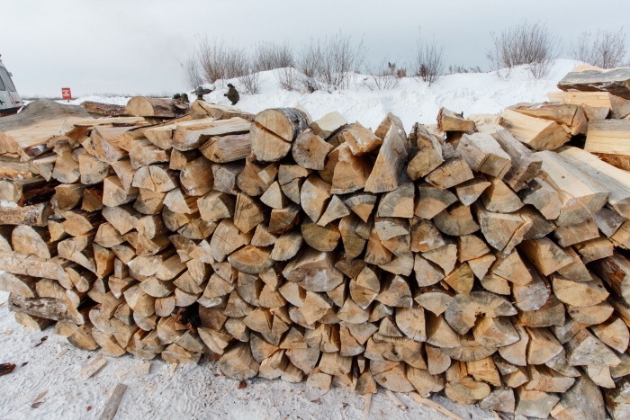 Фото Жители Бурятии могут забрать древесину с новых лесосек