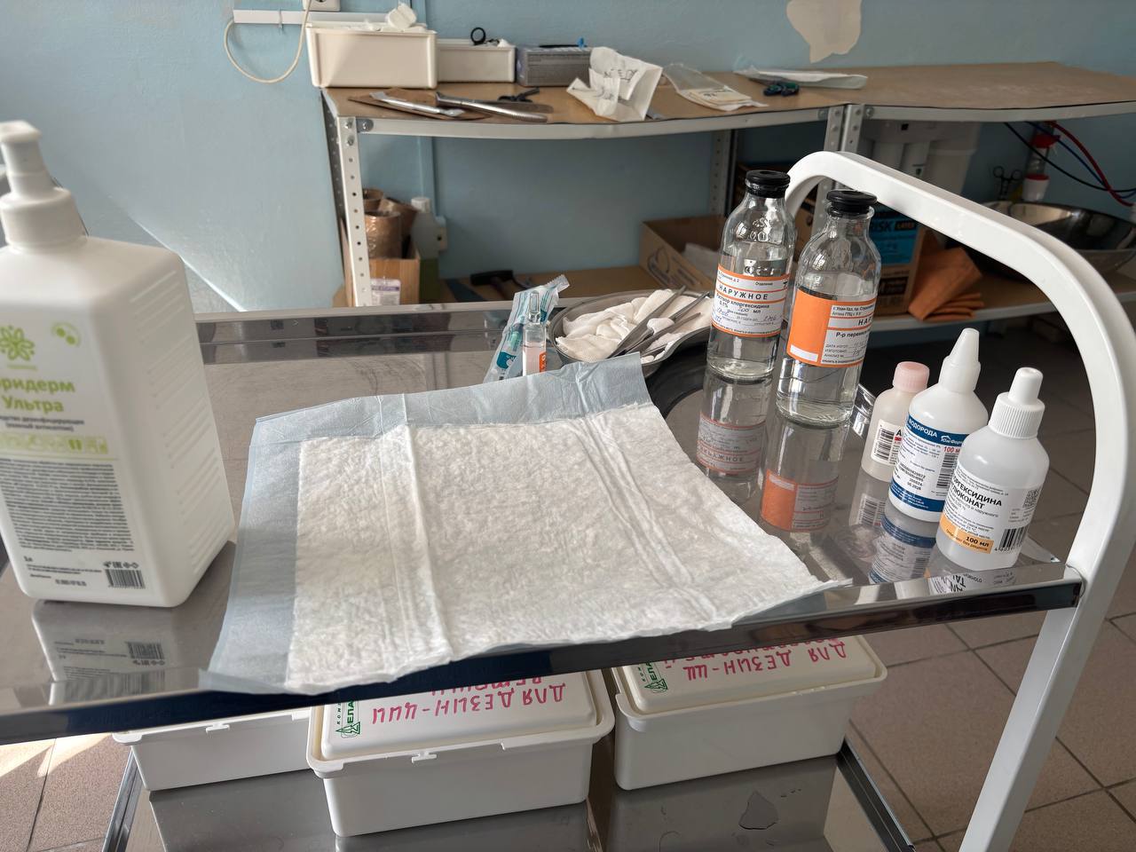 Фото Змея укусила 13-летнего мальчика в лесном массиве Улан-Удэ