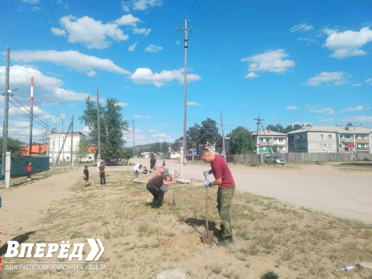 Фото На месте срубленных тополей посадили новые деревья в районе Бурятии