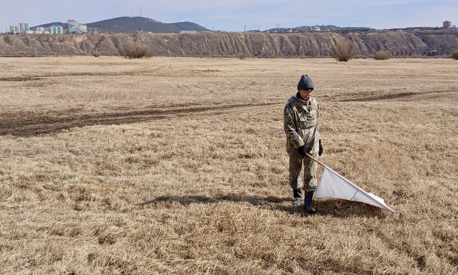 Фото В Улан-Удэ началась противоклещевая обработка территорий