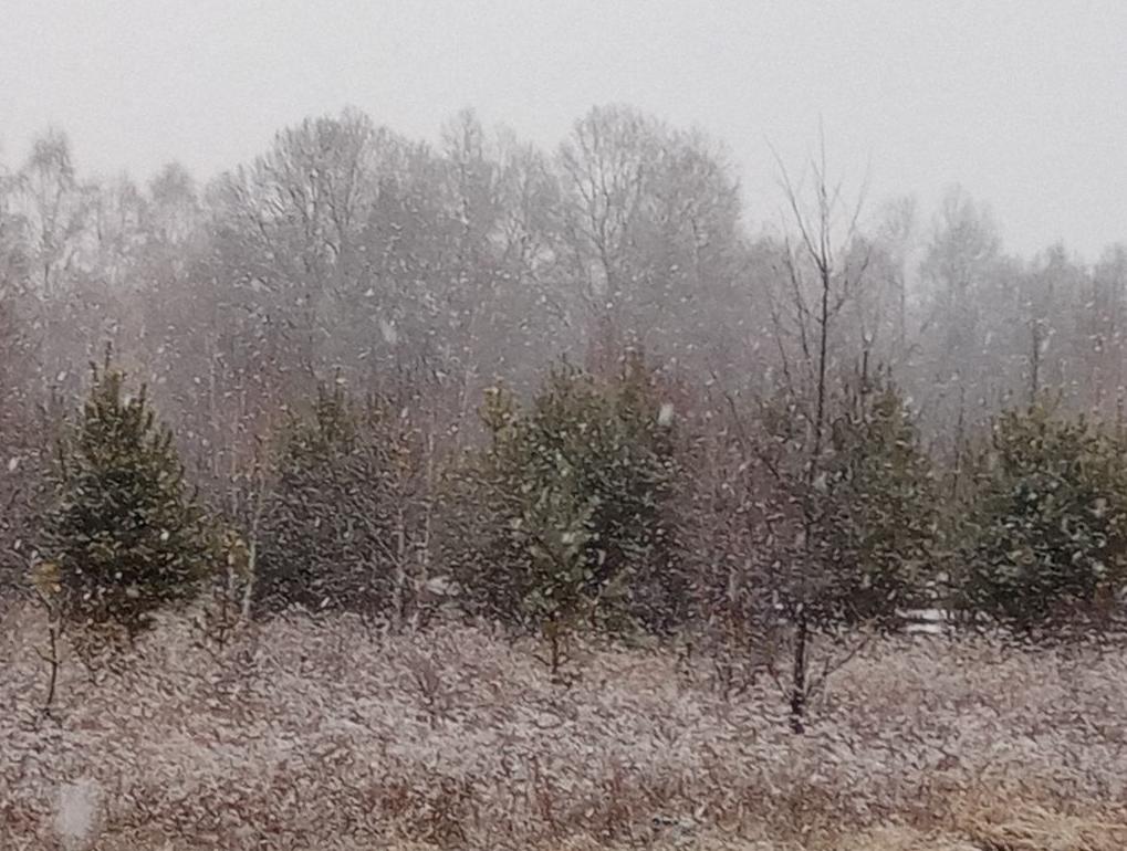 Фото Дождь, снег и гололедица: в Бурятии объявлено штормовое предупреждение
