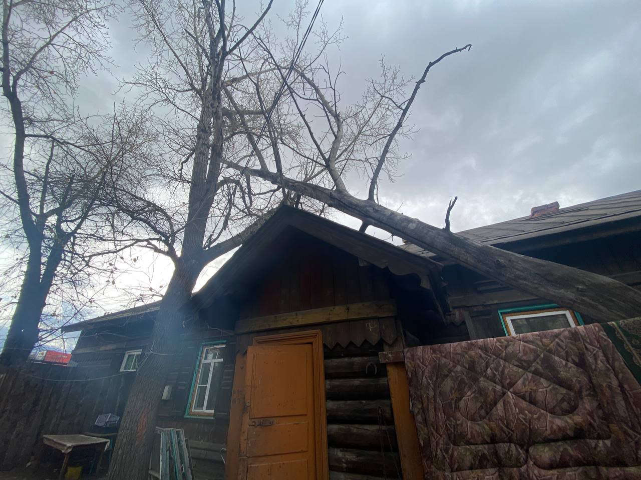 Фото В Улан-Удэ дерево упало на дом участника СВО