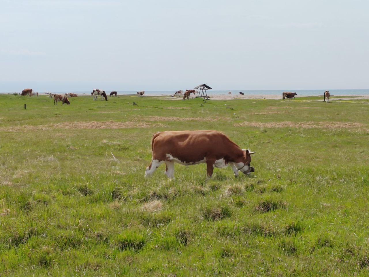 Фото В Бурятии пройдет сегодня проверка системы оповещения населения