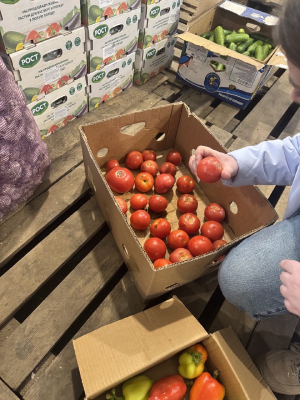 Фото В Бурятии проведены выездные обследования торговых точек, реализующих фрукты и овощи