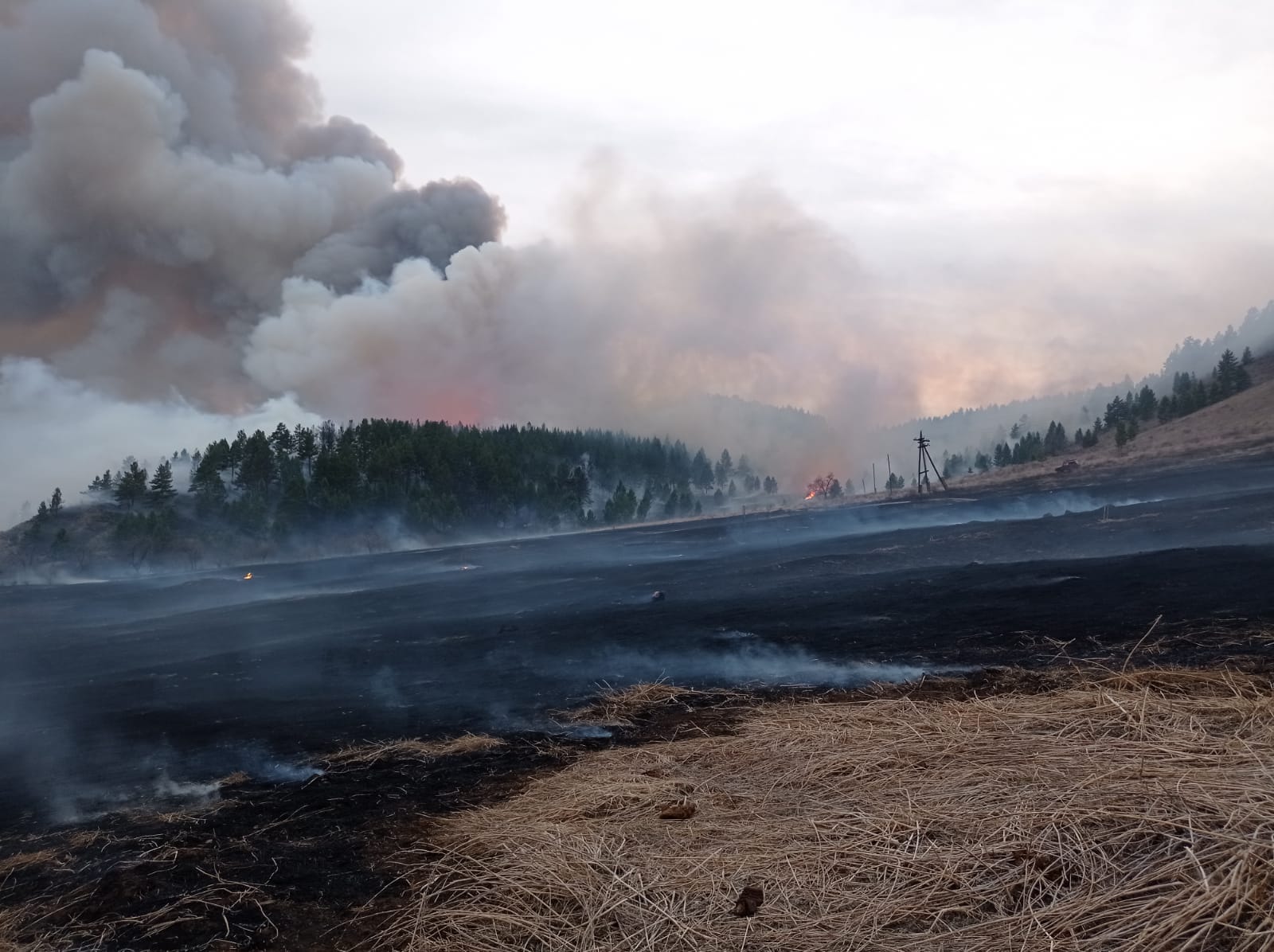 Фото В Бурятии на тушении лесного пожара задействовали вертолёт
