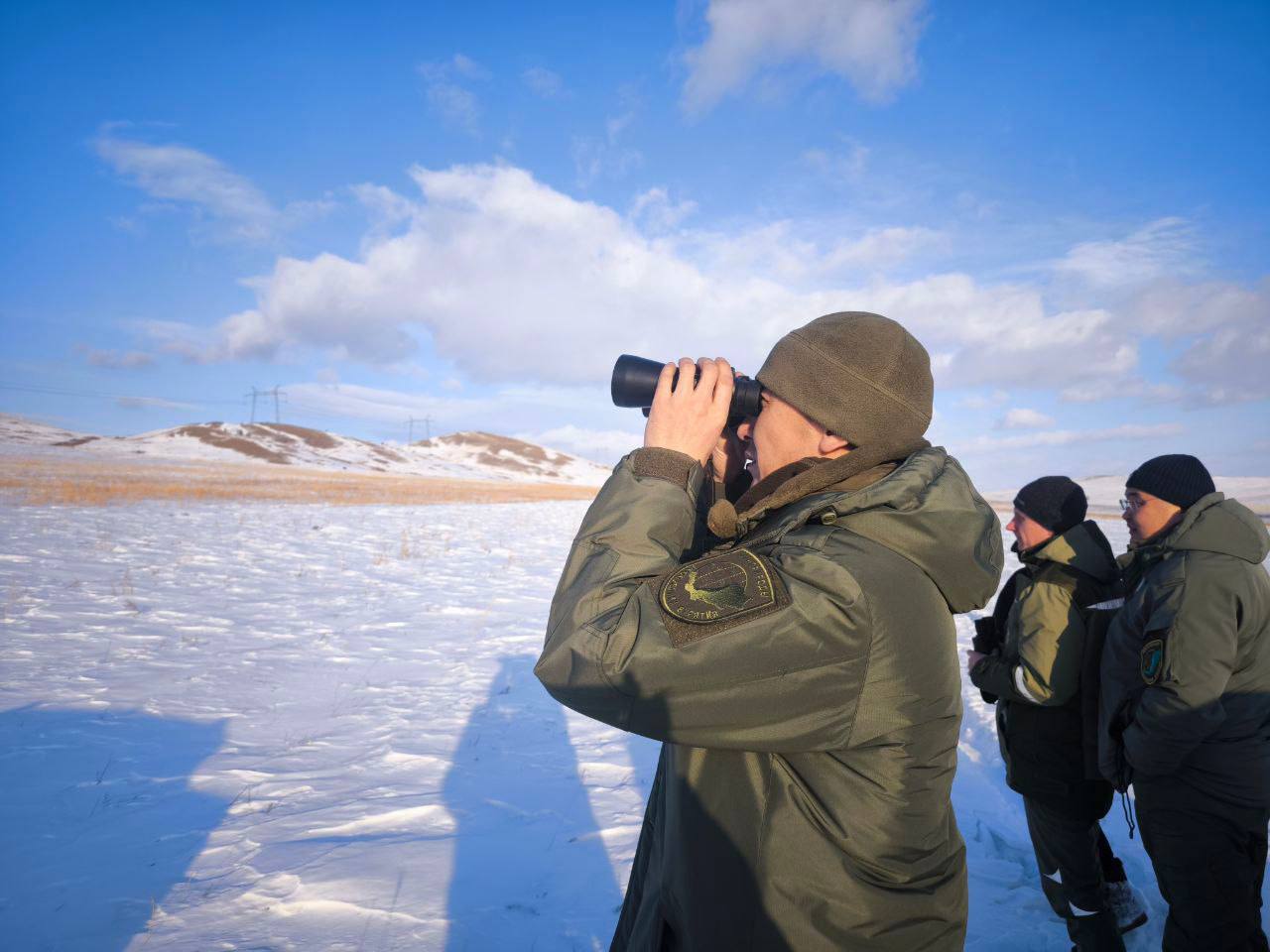 Фото Бурятские исследователи подтвердили ареал обитания манула