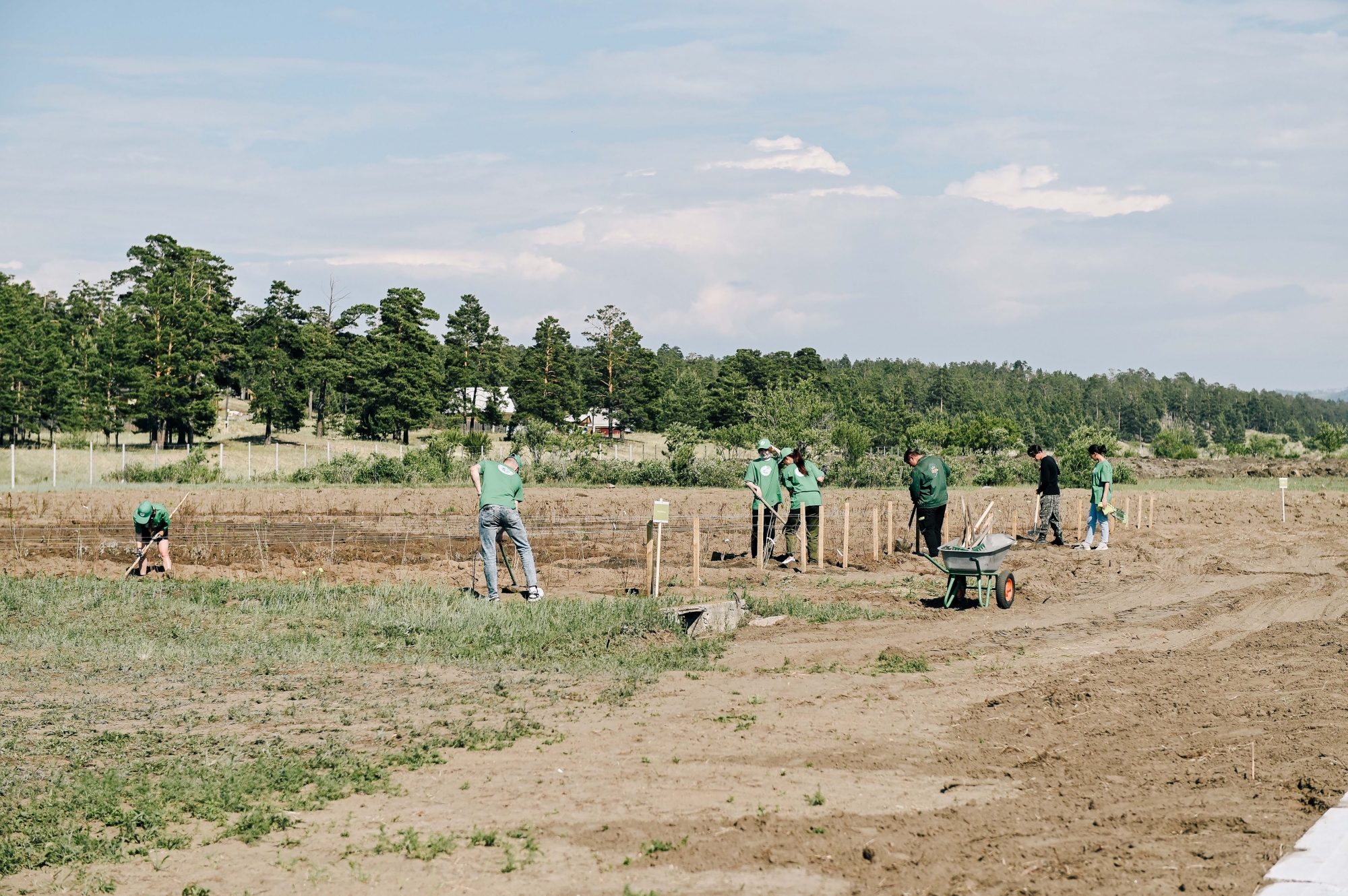 Фото В Улан-Удэ открылся первый питомник для выращивания деревьев и кустарников  