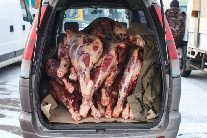 Фото С начала года в Бурятии обнаружили 35 туш зараженного мяса