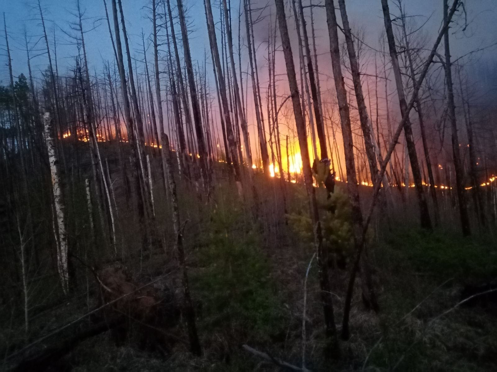 Фото В Бурятии  из-за сухой грозы возник сложный лесной пожар