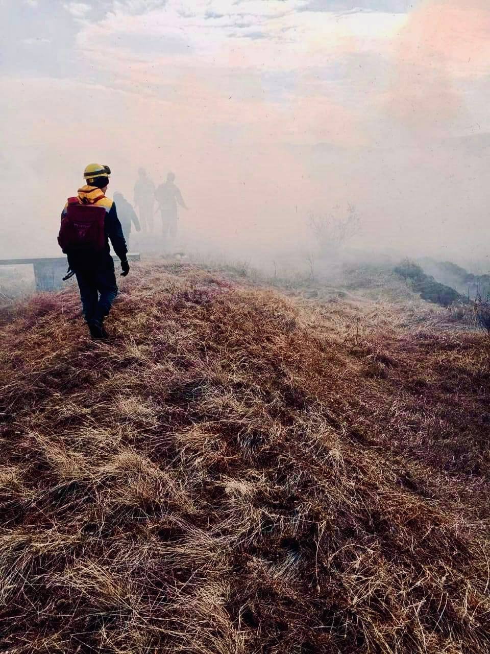 Фото В Бурятии потушили лесные пожары на площади более  4 500 га, борьба с огнём продолжается