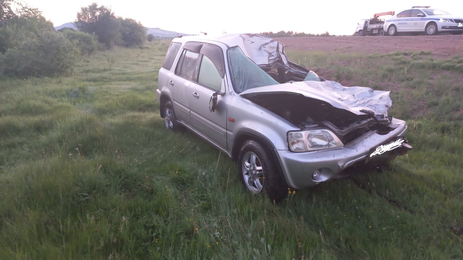 Фото В Бурятии водитель иномарки наехал на лошадей
