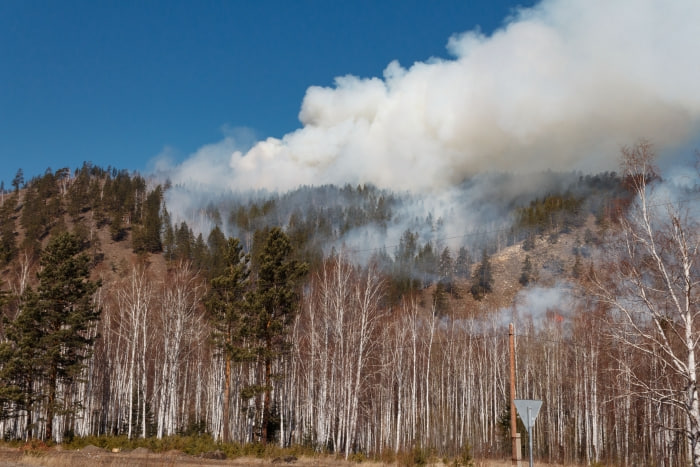 Фото В Бурятии и Якутии из-за лесных пожаров пострадали более 110 тысяч гектаров леса