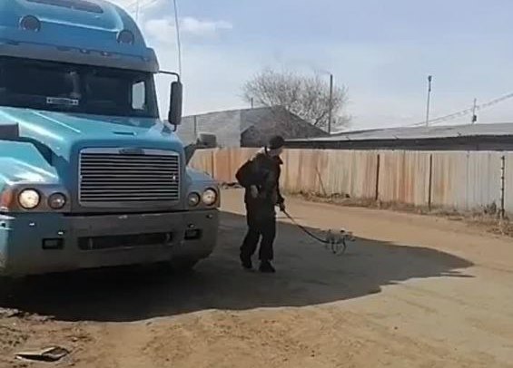 Фото В Бурятии родственникам погибшего бойца на СВО передали собаку по кличке Лиза