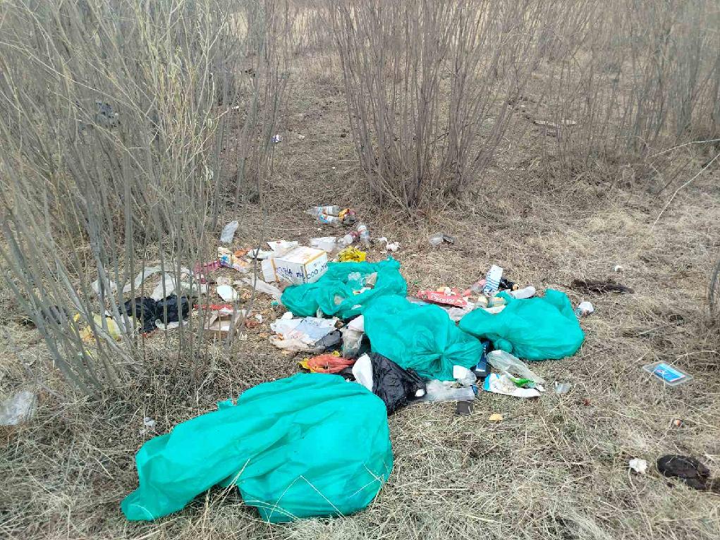 Фото В районе Бурятии обнаружилась большая несанкционированная свалка твердых бытовых отходов