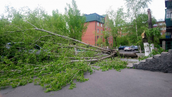 Фото В  Улан-Удэ шторм повалил деревья и разрушил кровли домов