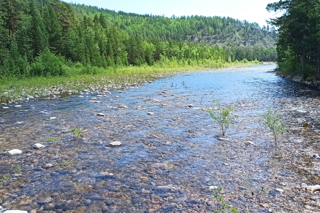 Фото В Тунке в Бурятии пропали два всадника, а лошади вернулись домой