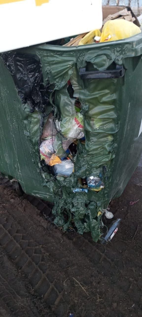 Фото В Бурятии разыскивают граждан, выбросивших горячие угли в мусорные баки