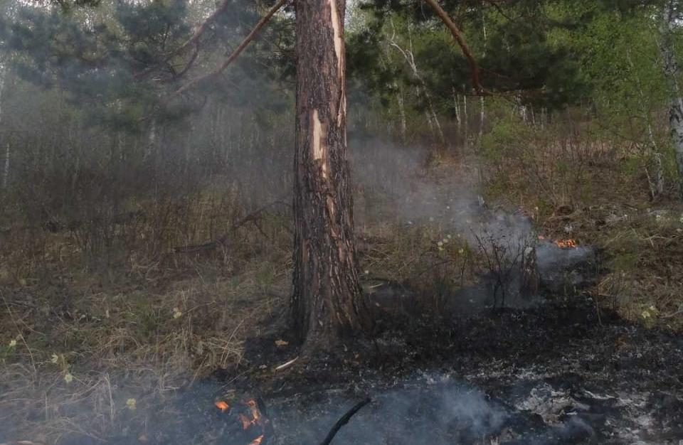 Фото В Бурятии около 600 человек сражаются с лесными пожарами