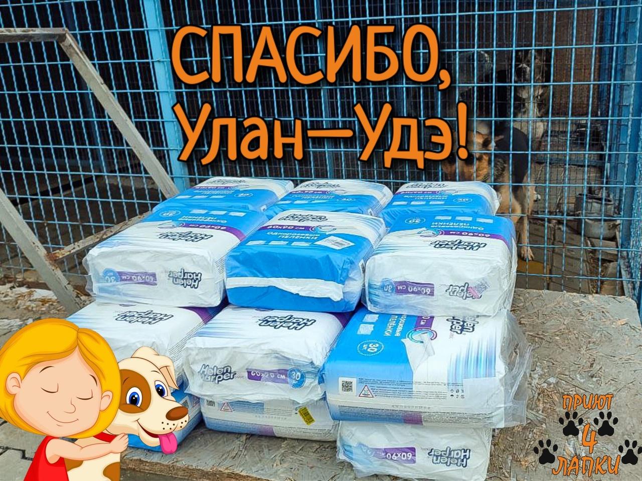Фото Донецкий приют для животных получил помощь из Бурятии