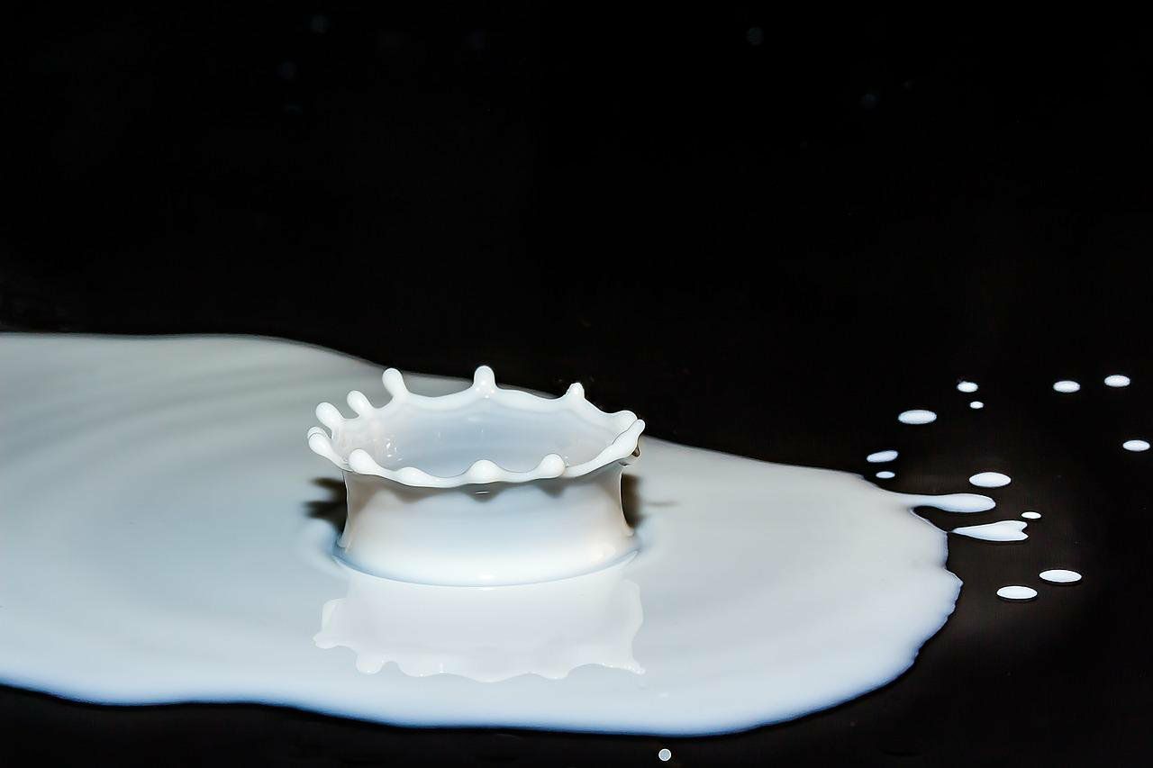 Фото В Бурятии выявили несколько марок некачественного молока