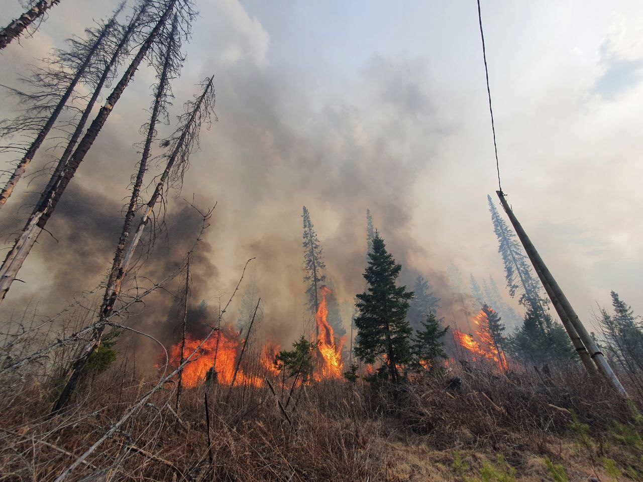 Фото Штрафы за лесные пожары в Бурятии увеличены в 10 раз