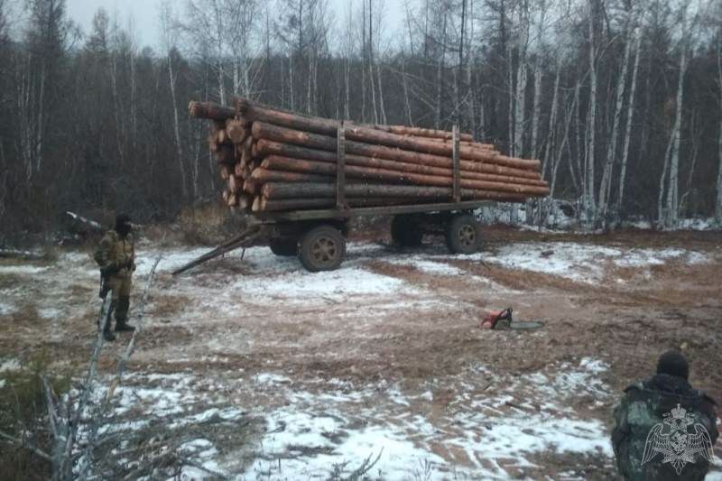 Фото Кижингинские «чёрные лесорубы» попались с прицепом древесины