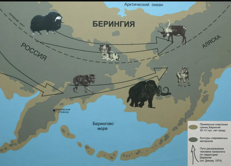 Фото Генетики доказали, что первыми Америку заселили выходцы с Байкала